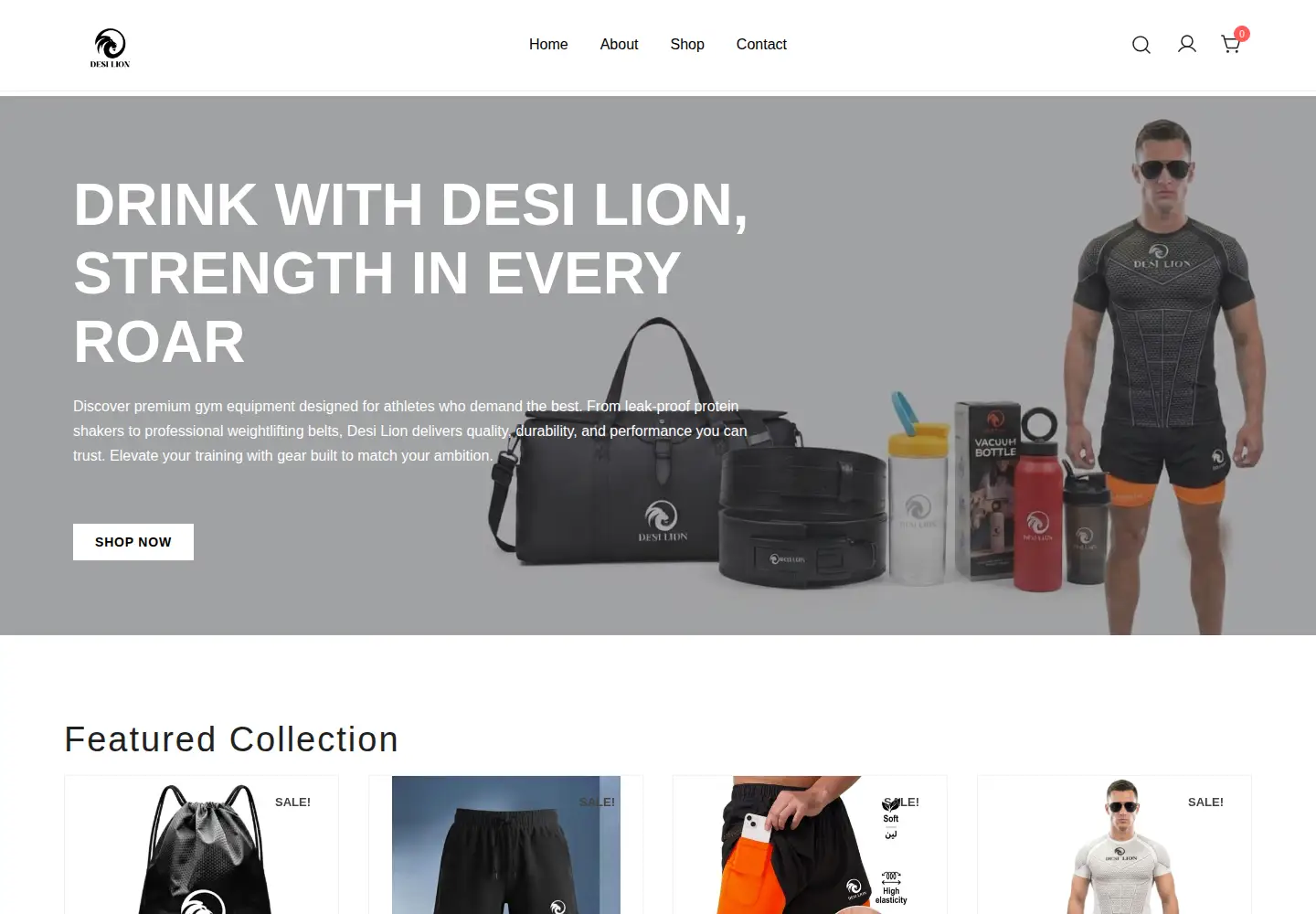Captured homepage of desilion.com in the current scan
