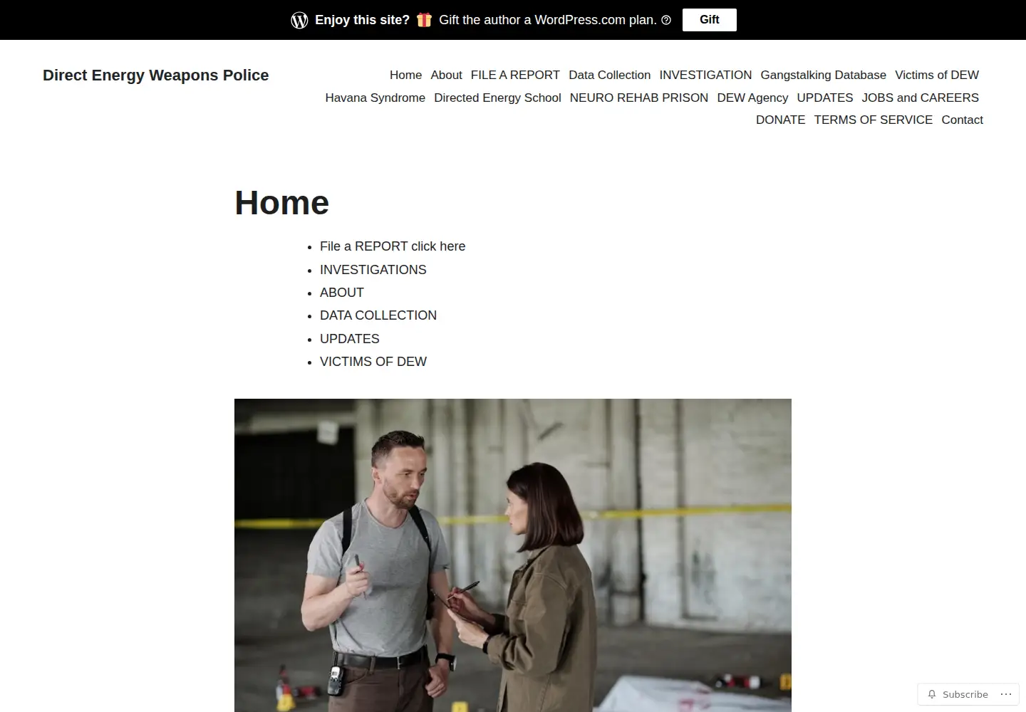 Screenshot of dewpolice.com
