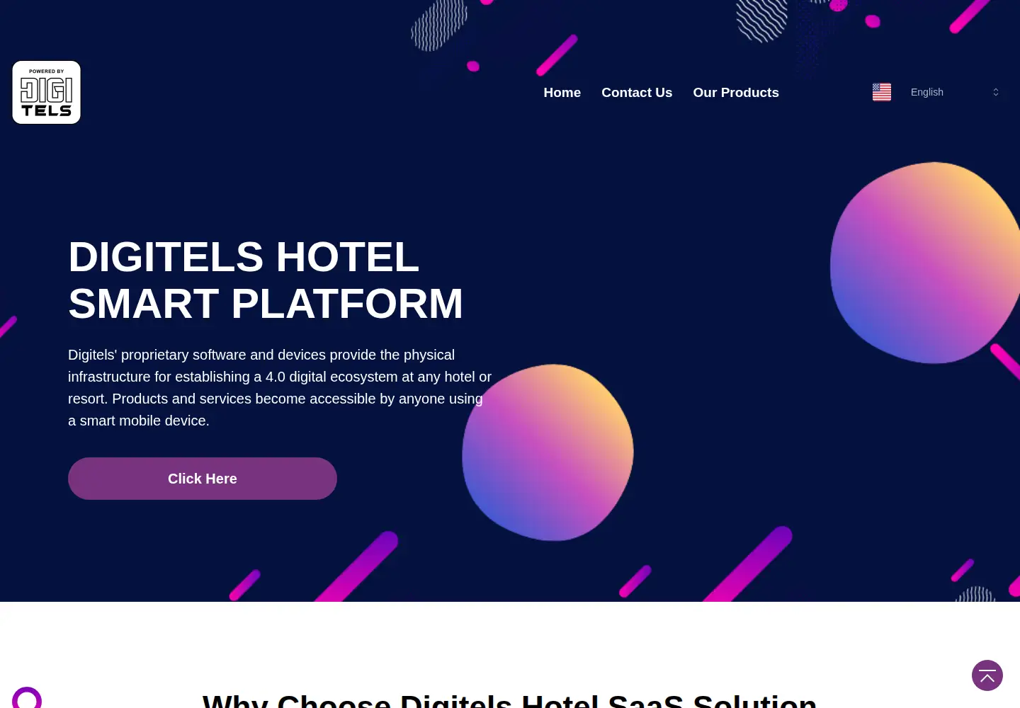Captured homepage of digitels.com in the current scan