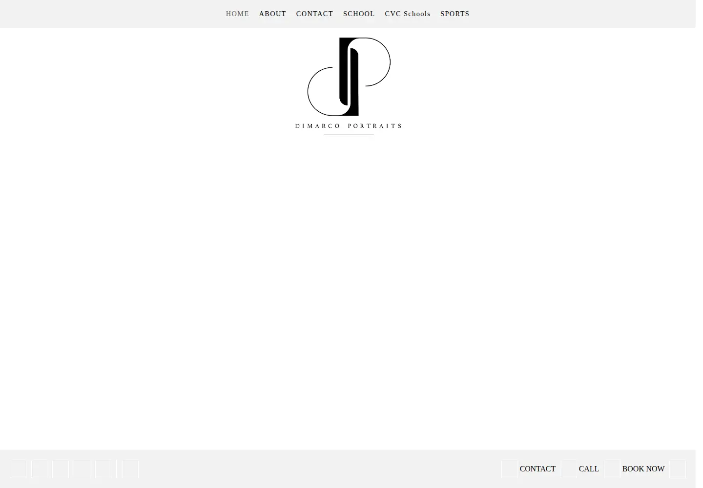 Captured homepage of dimarcoportraits.com in the current scan