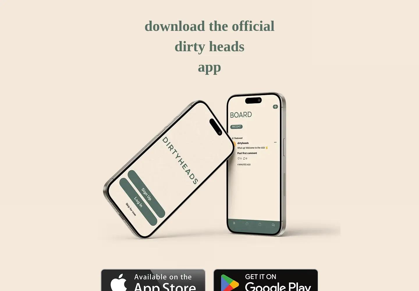 Captured homepage of dirtyheadsapp.com in the current scan