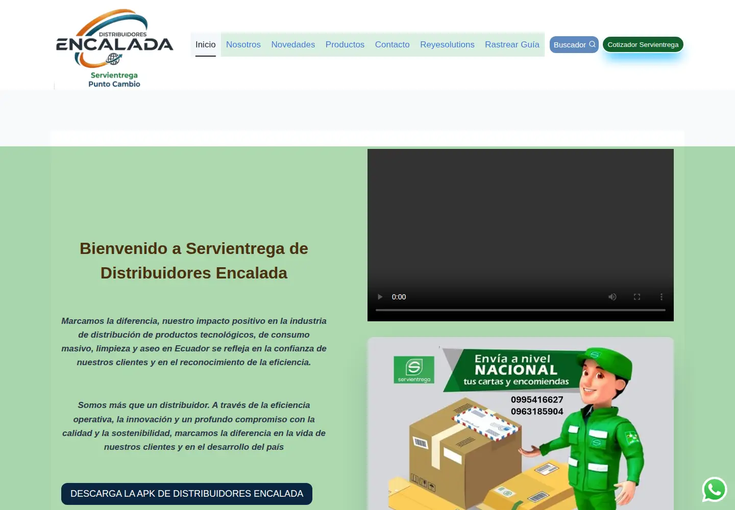 Captured homepage of distribuidorese.com in the current scan