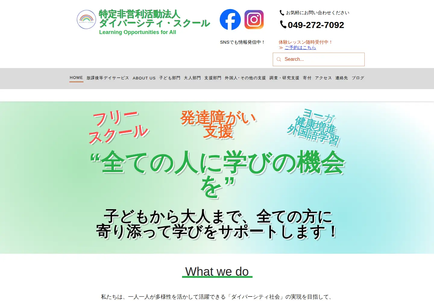 Screenshot of diversityschool-kawagoe.com
