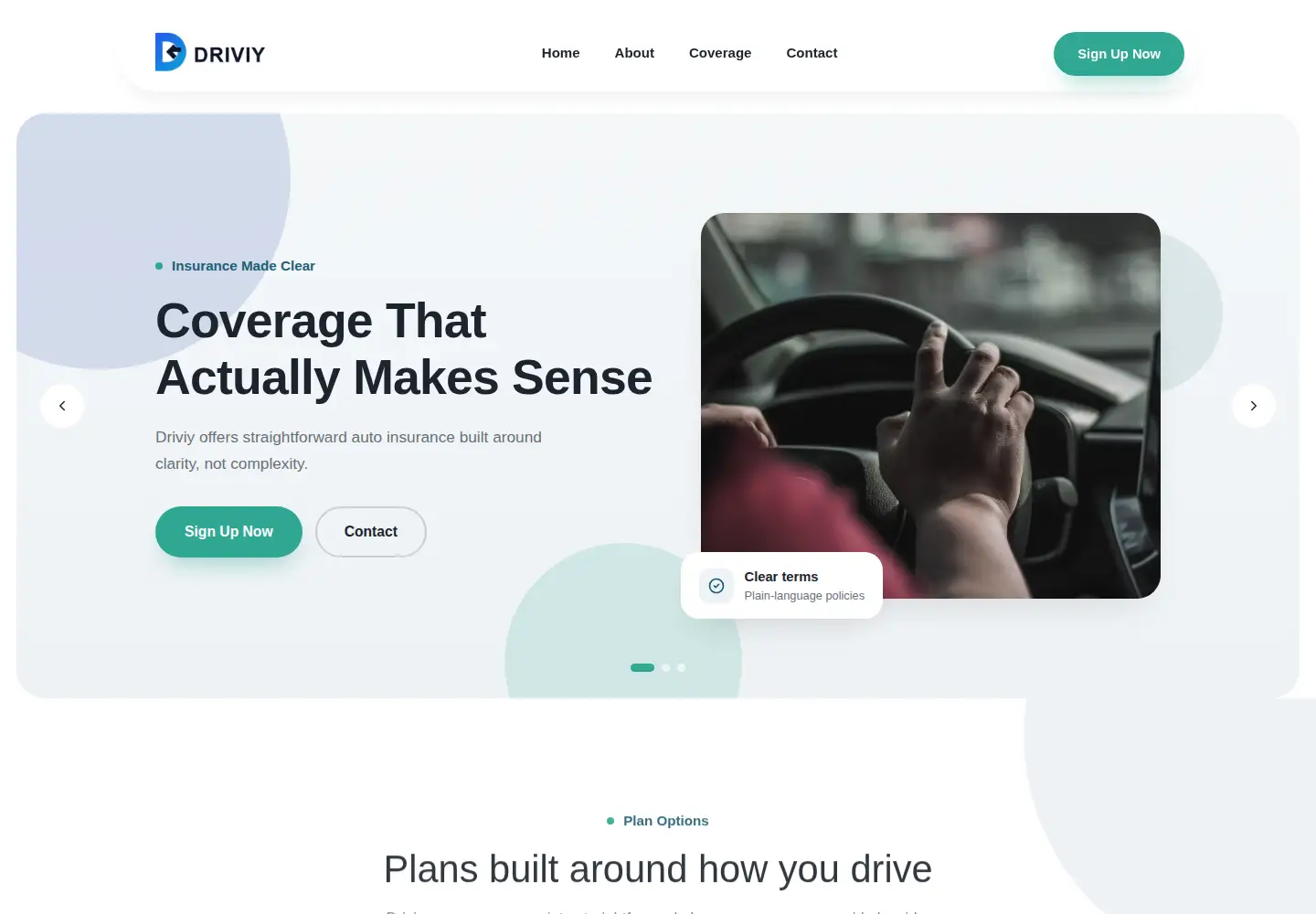 Captured homepage of driviy.com in the current scan