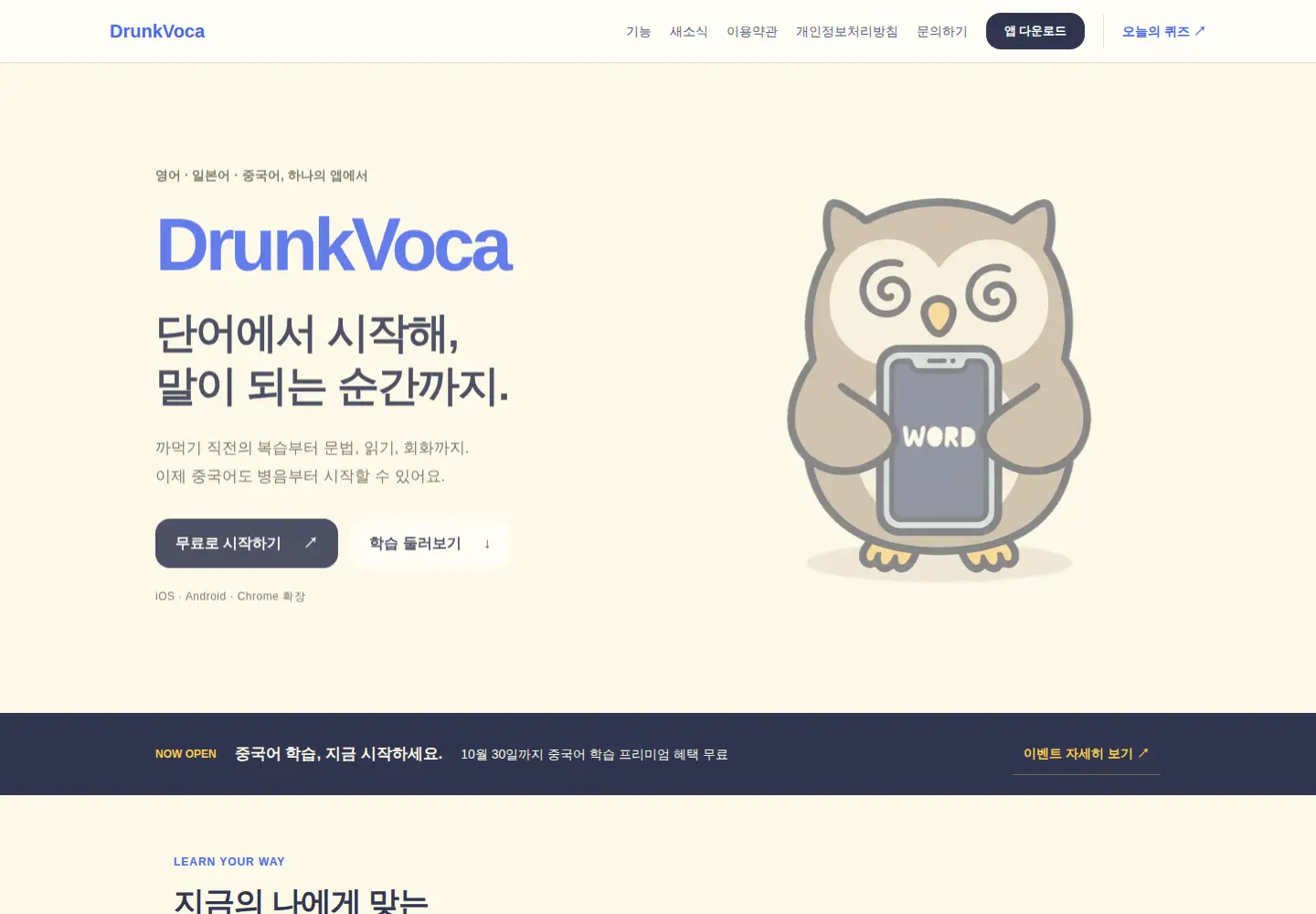 Screenshot of drunkvoca.com