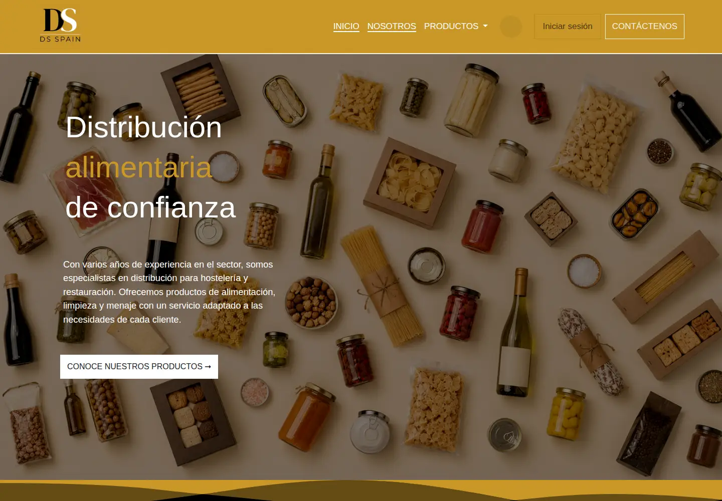 Screenshot of ds-spain.com