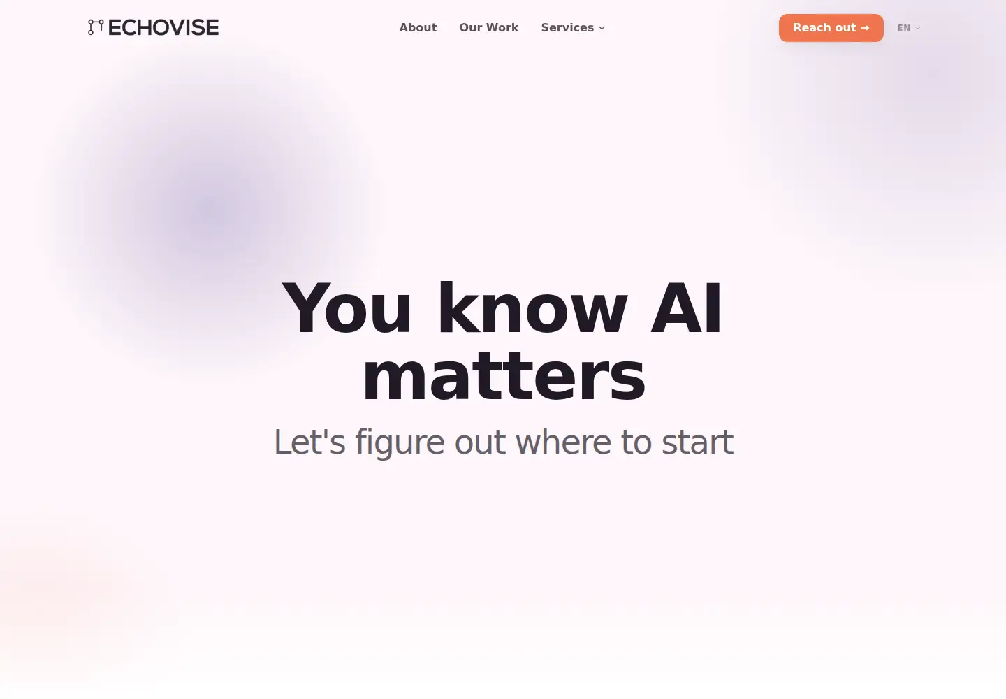 Captured homepage of echovise.com in the current scan
