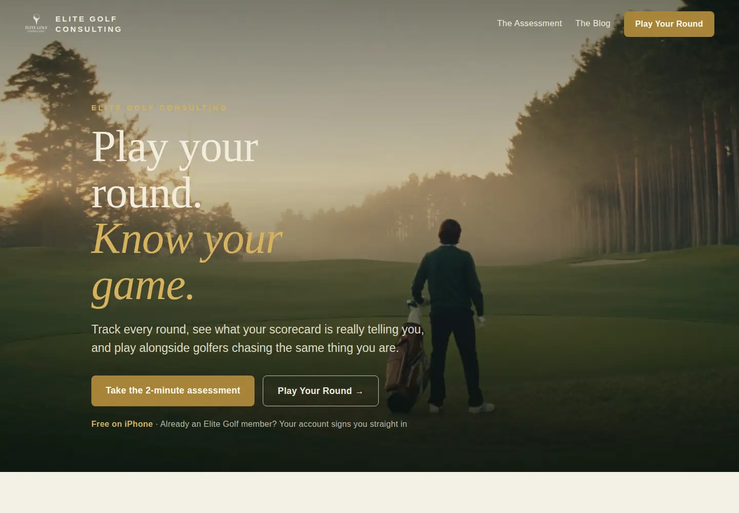 Captured homepage of elitegolfconsulting.com in the current scan