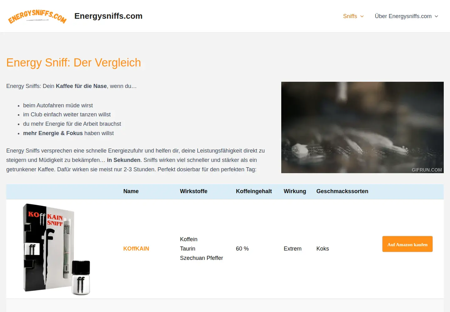 Captured homepage of energysniffs.com in the current scan