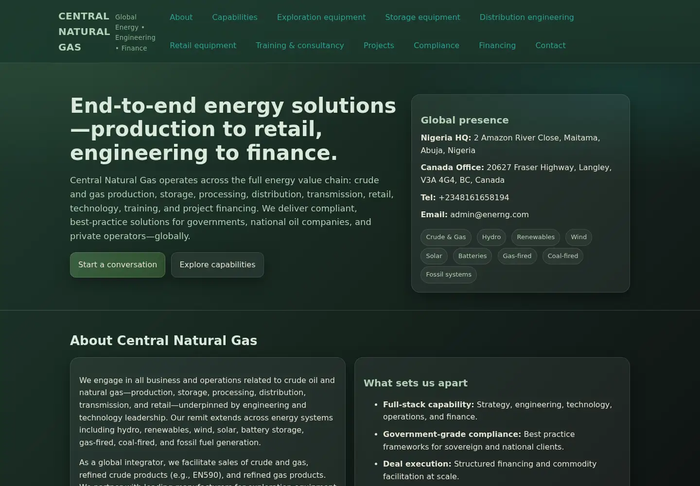 Captured homepage of enerng.com in the current scan