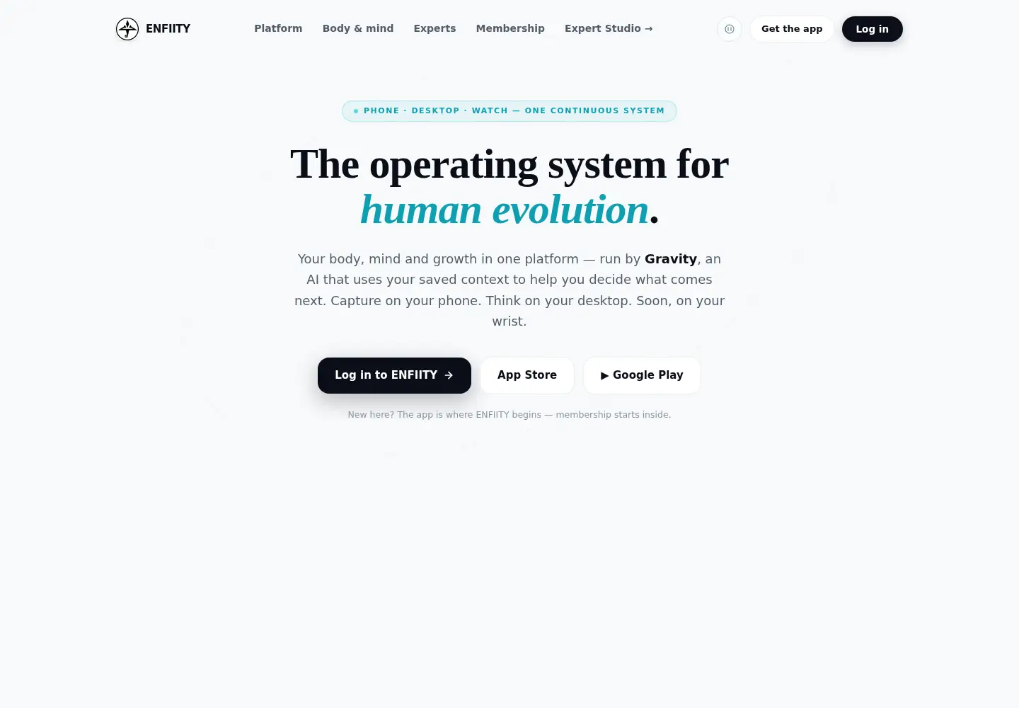 Screenshot of enfiity.com