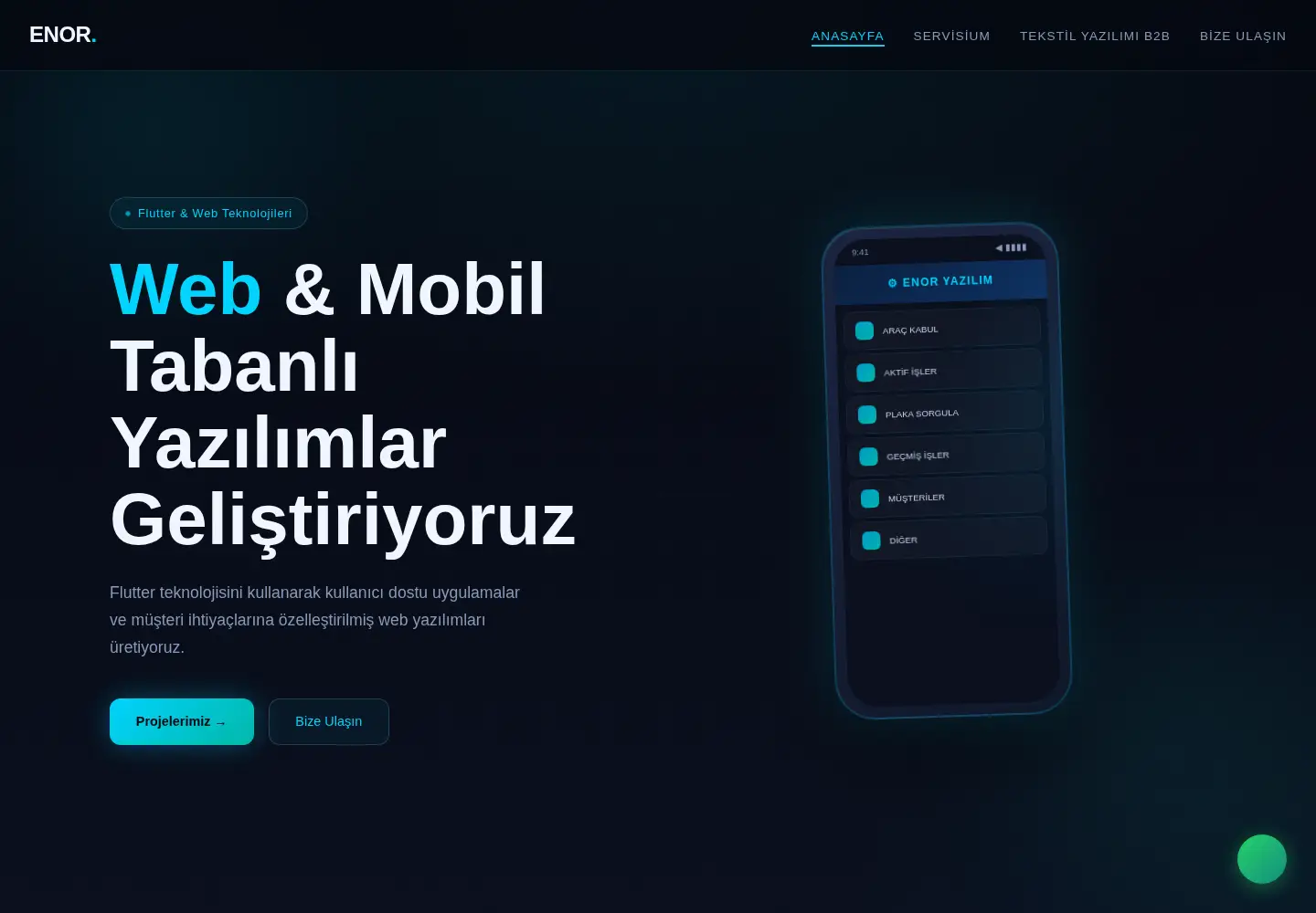 Captured homepage of enoryazilim.com in the current scan