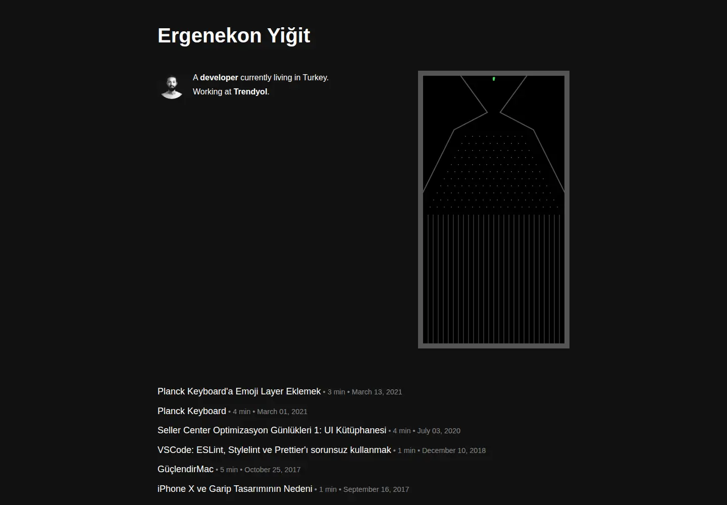 Screenshot of ergenekonyigit.com