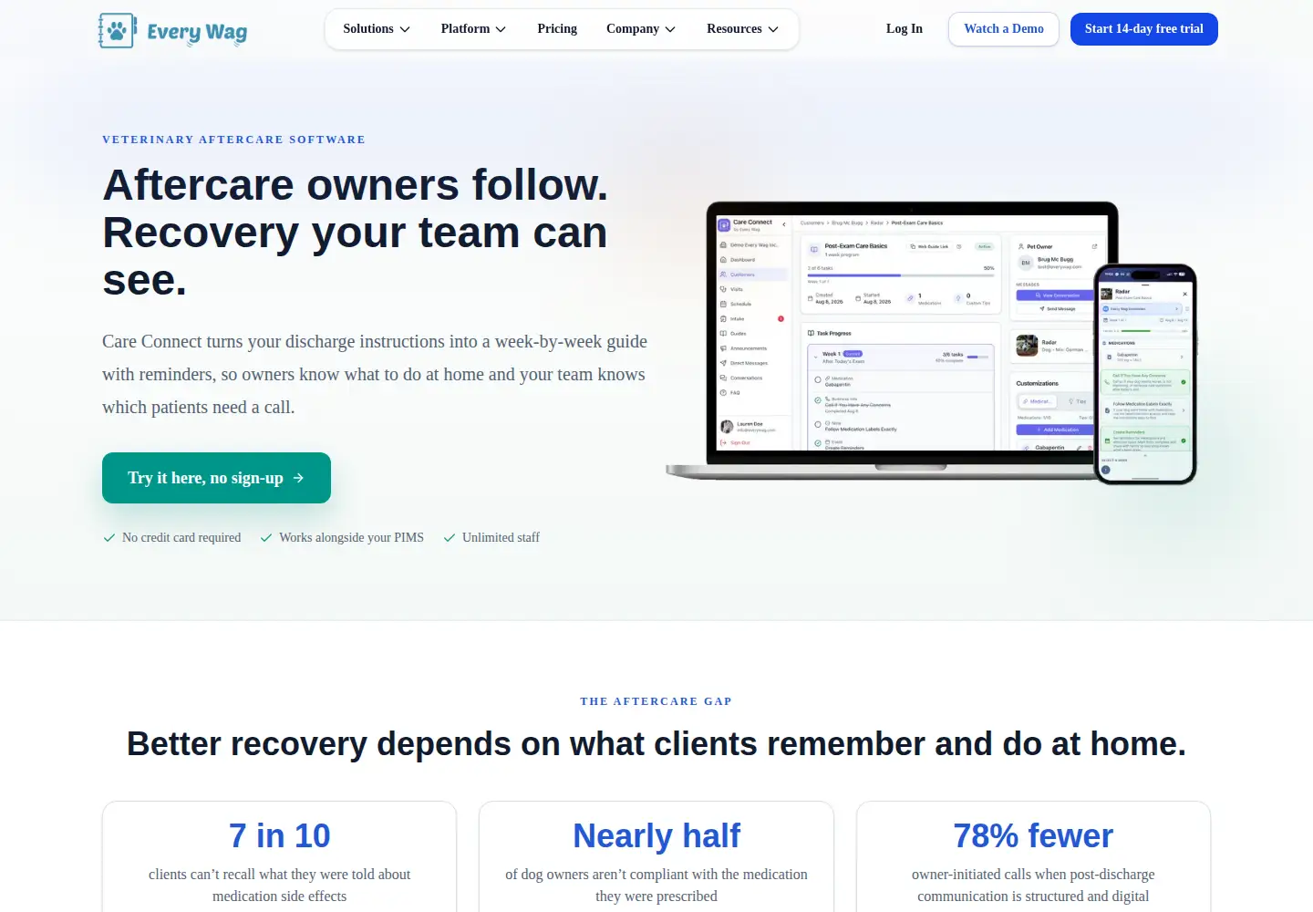Captured homepage of everywag.com in the current scan