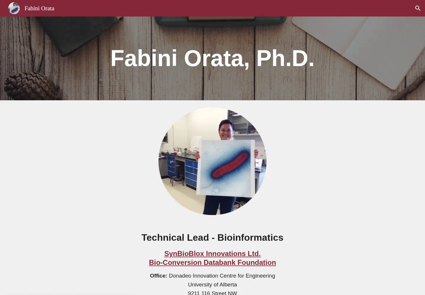 Captured homepage of fabiniorata.com in the current scan