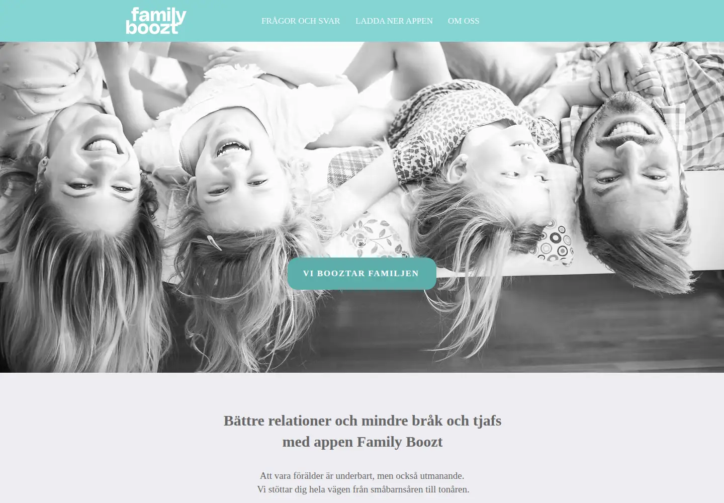 Screenshot of familyboozt.com