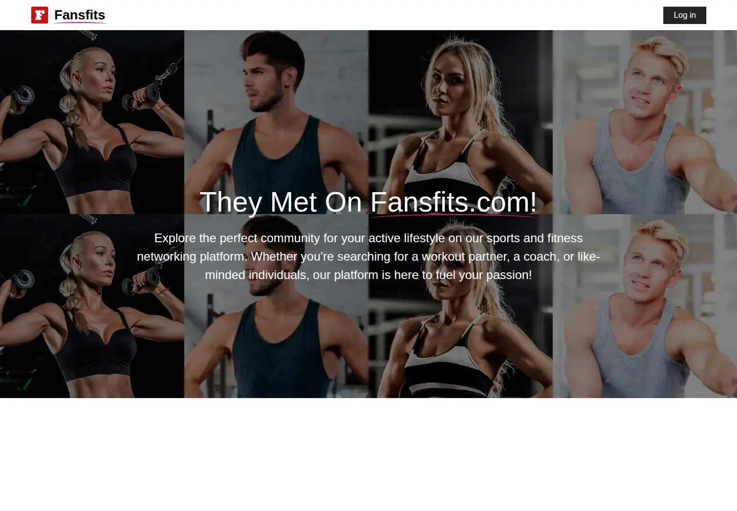 Captured homepage of fansfits.com in the current scan