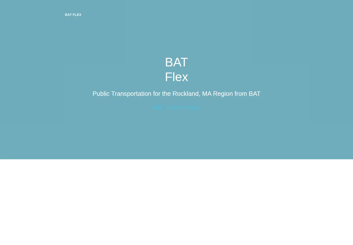 Captured homepage of flexbat.com in the current scan