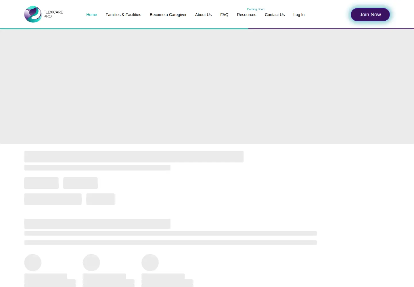 Captured homepage of flexicarepro.com in the current scan