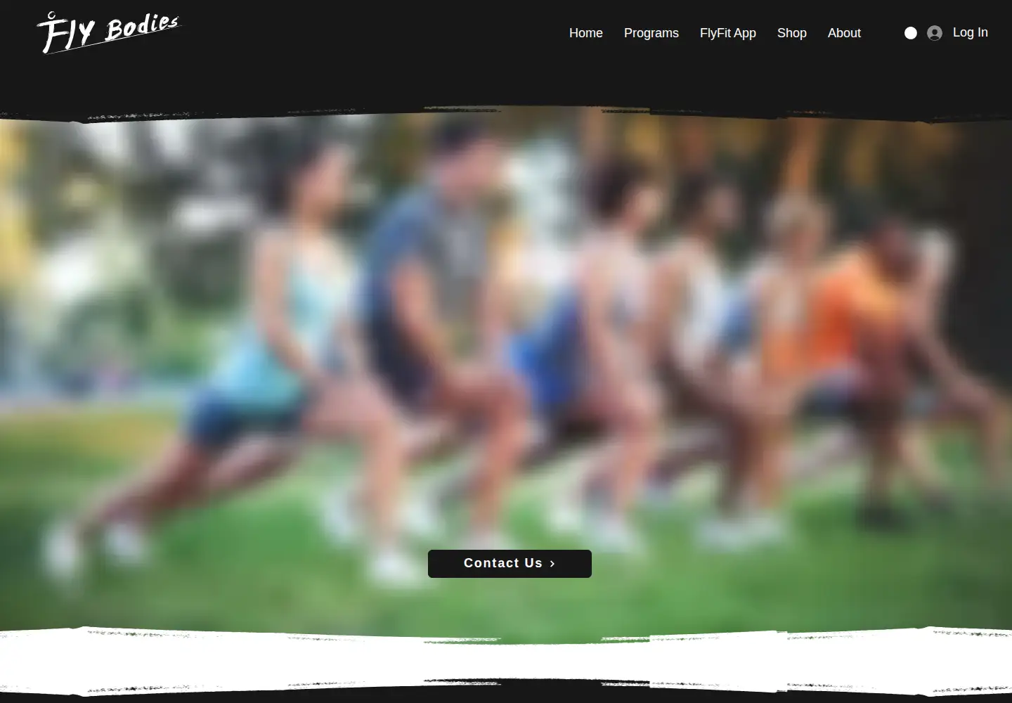 Screenshot of fly-bodies.com