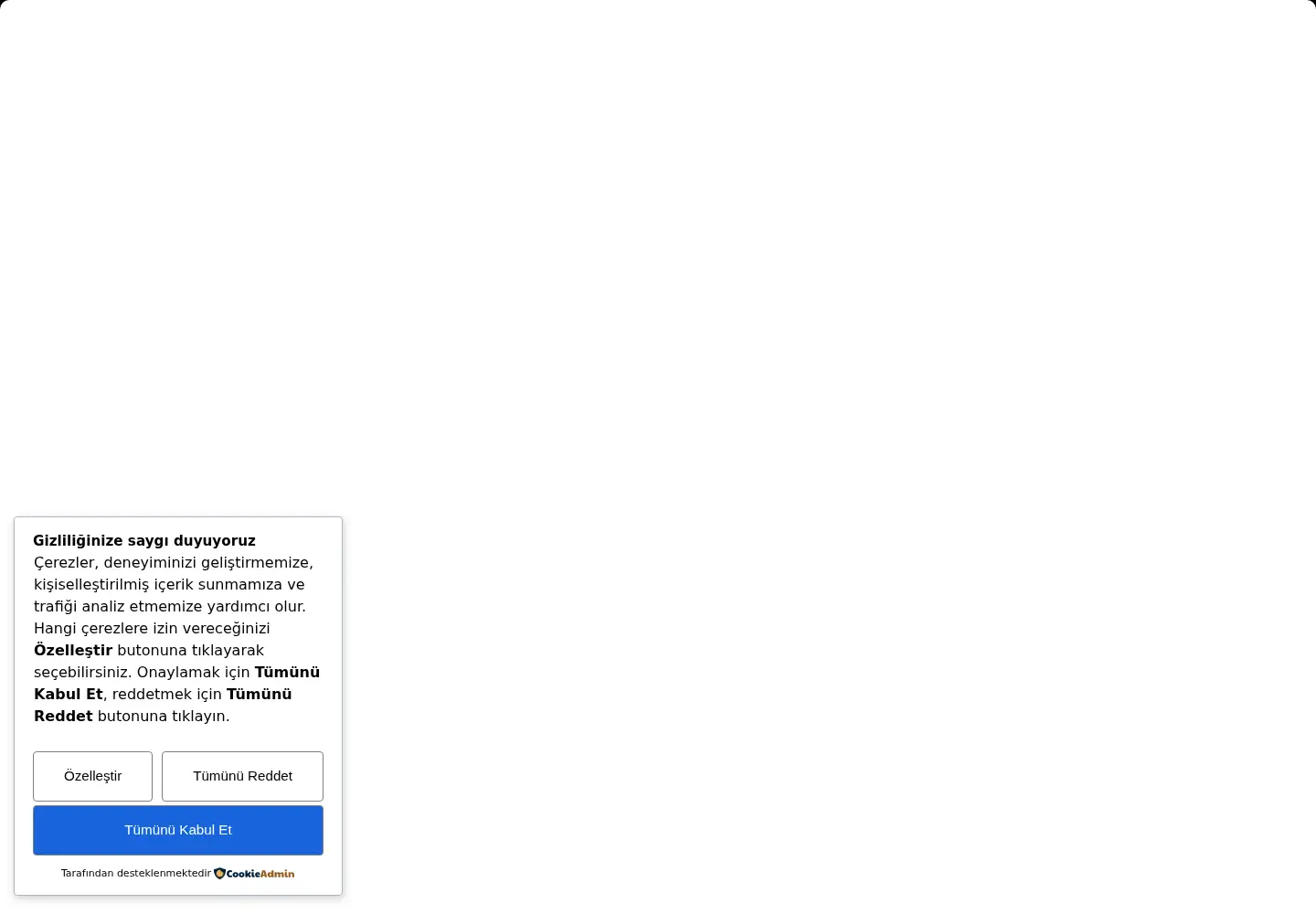 Captured homepage of fly-work.com in the current scan