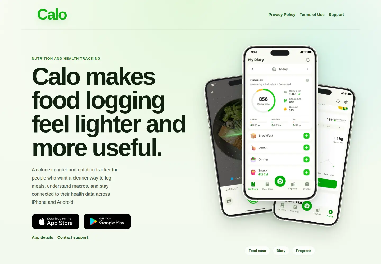 Captured homepage of foodscannerai.com in the current scan
