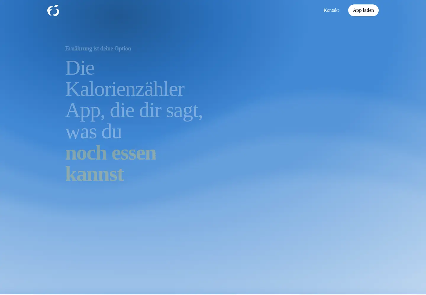 Screenshot of foodsoption.com