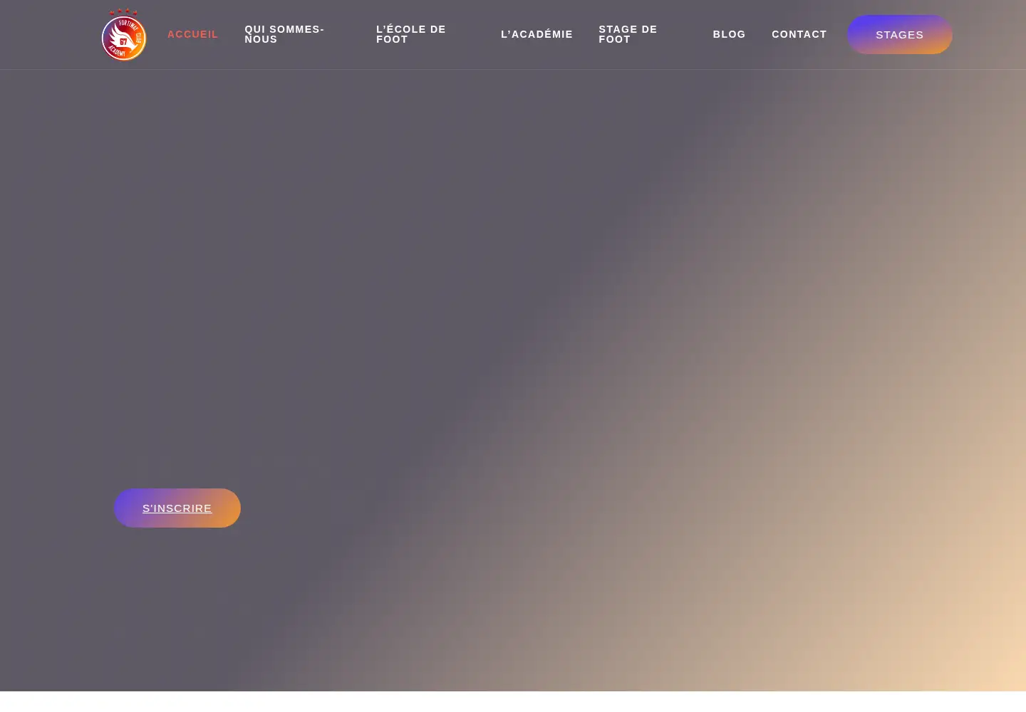 Screenshot of fortiwayacademy.com