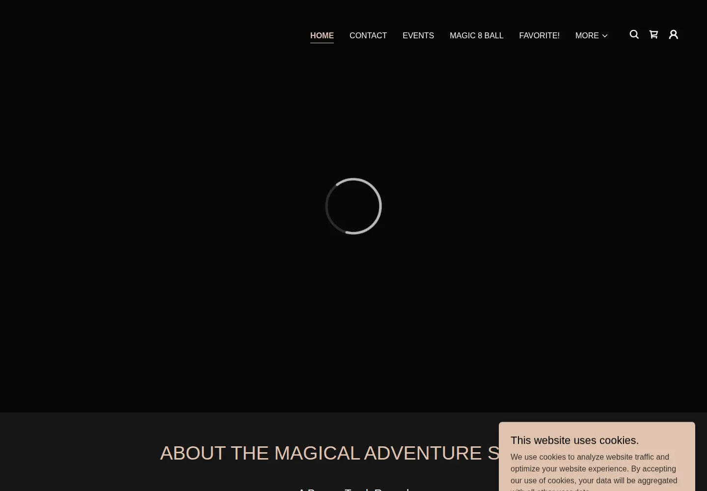 Captured homepage of frisbeemagic.com in the current scan