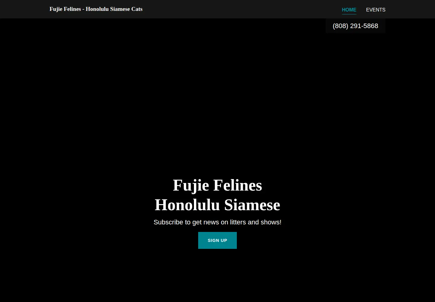 Captured homepage of fujiefelines.com in the current scan