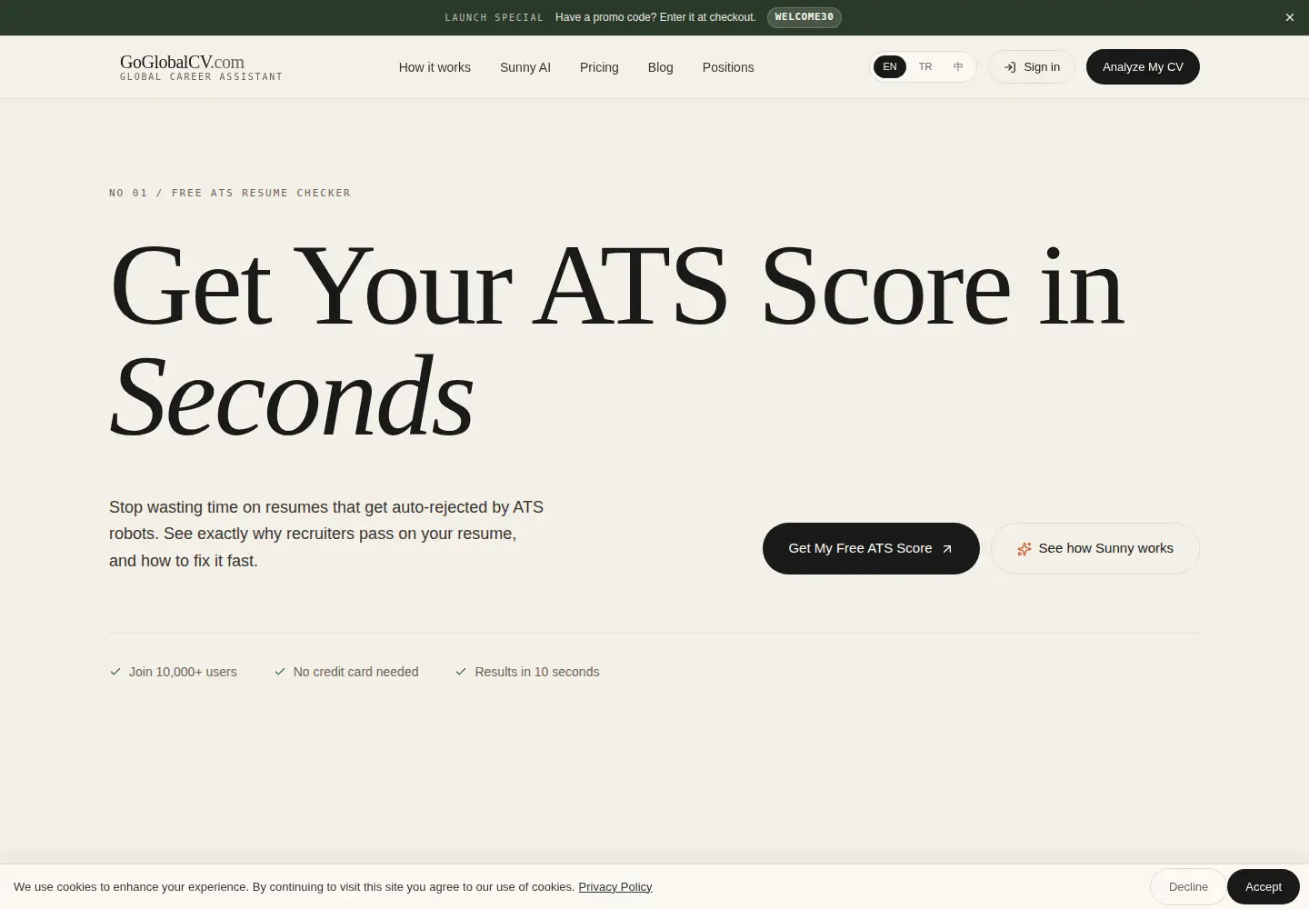 Screenshot of goglobalcv.com
