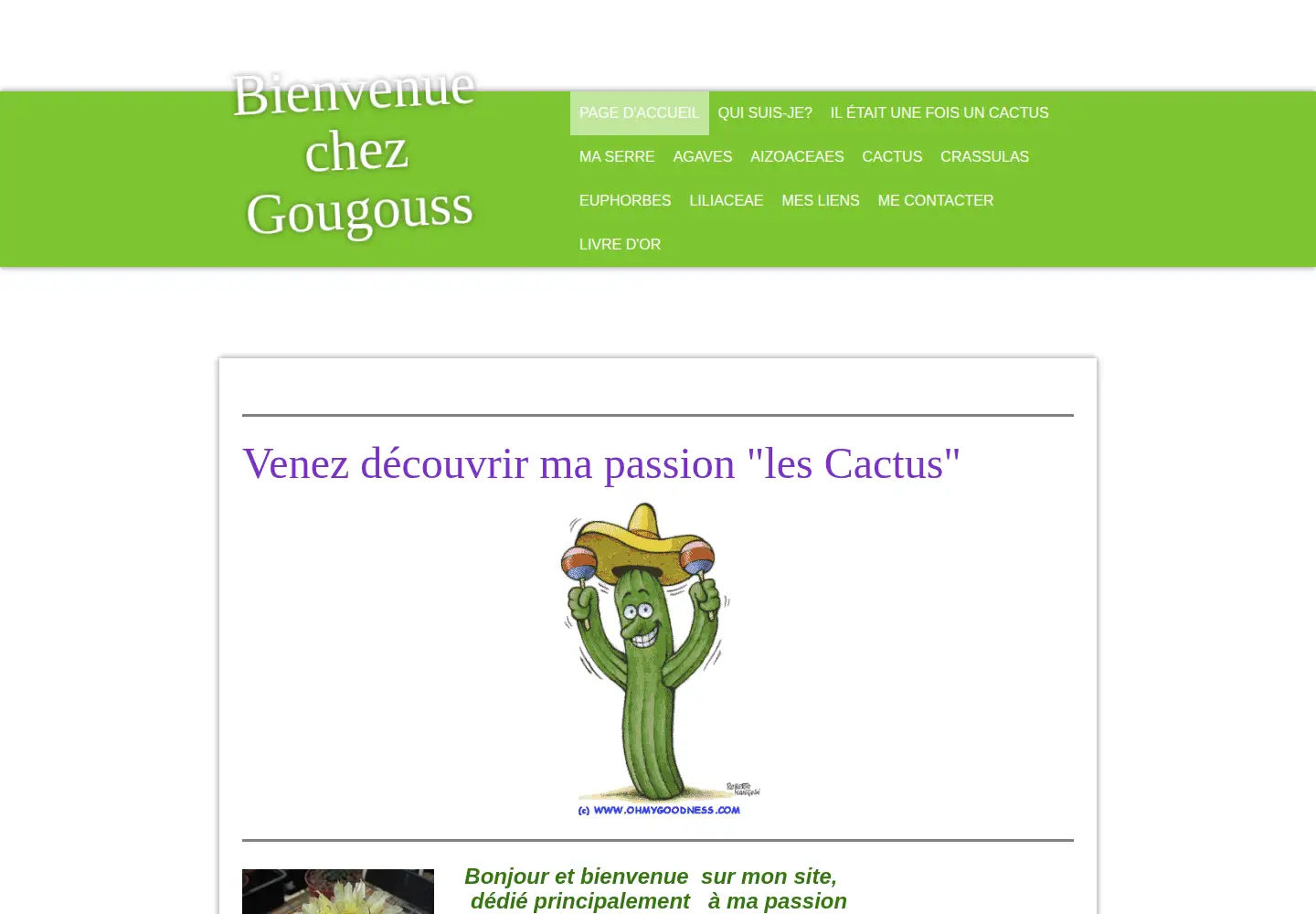 Screenshot of gougouss.com
