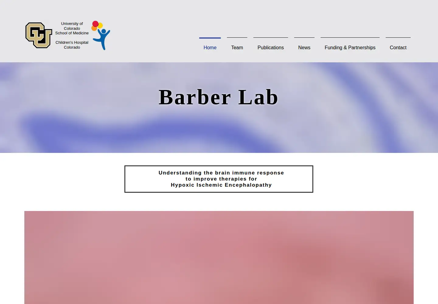 Screenshot of guezbarberlab.com