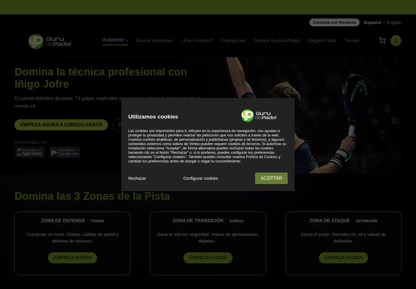 Captured homepage of gurudelpadel.com in the current scan