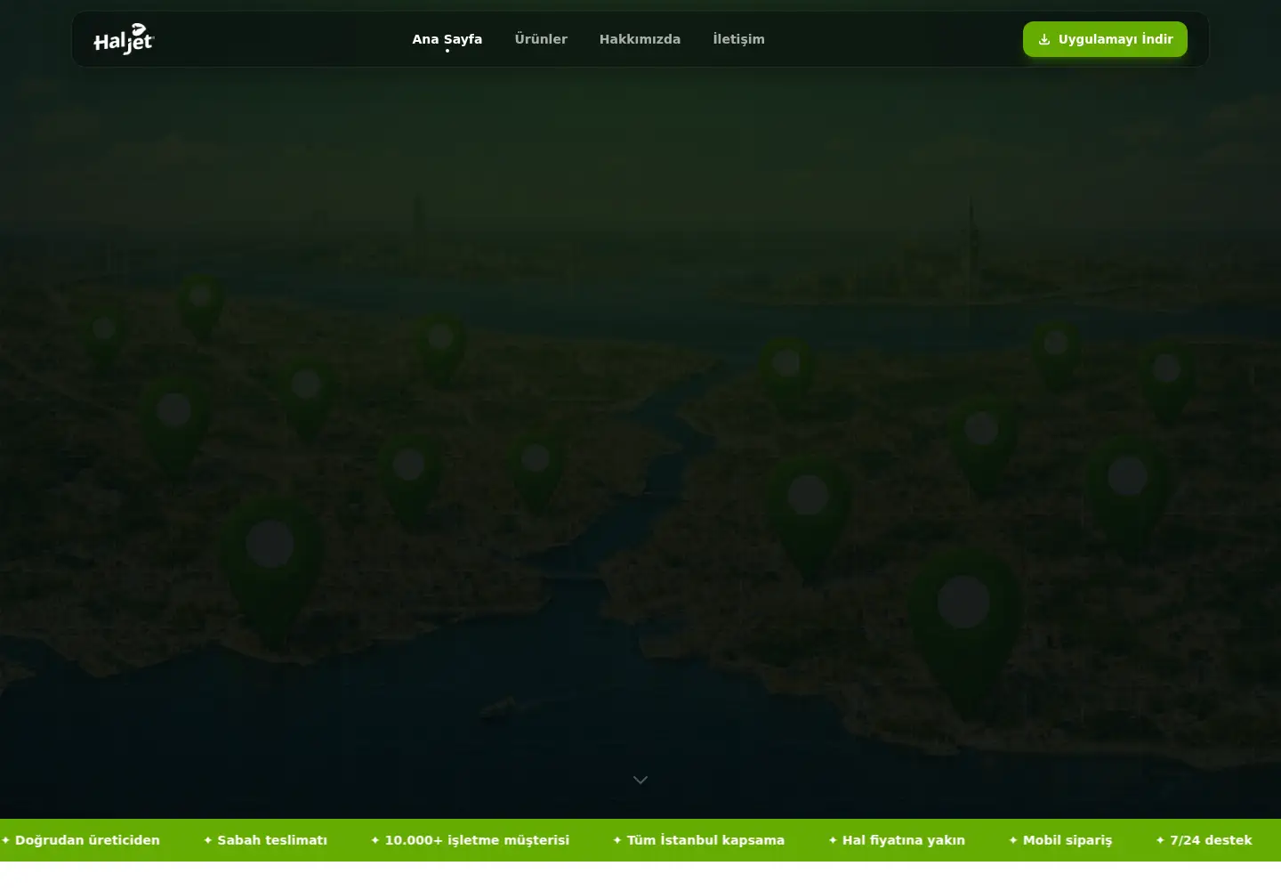 Captured homepage of haljet.com in the current scan
