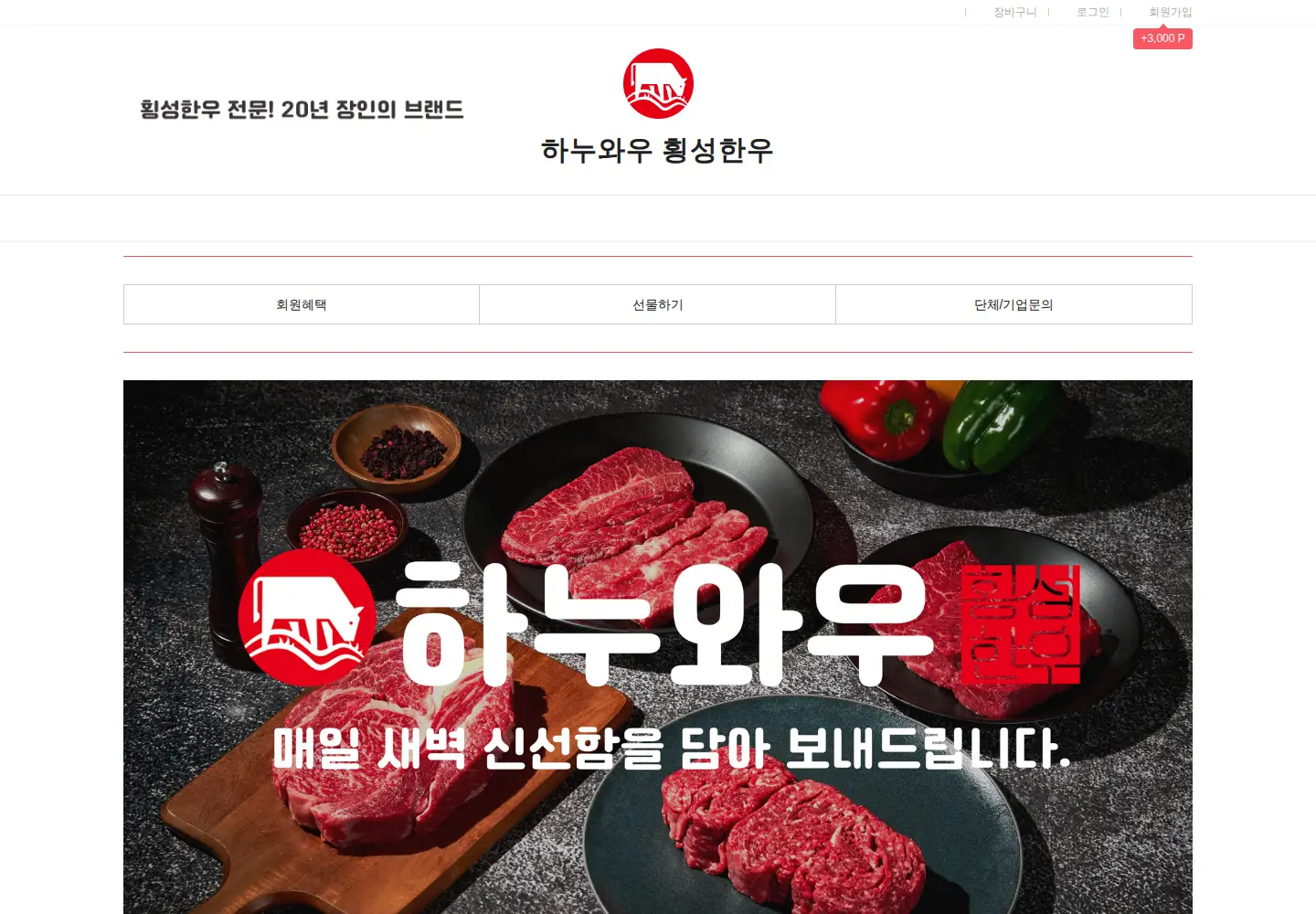 Captured homepage of hanoowa.com in the current scan