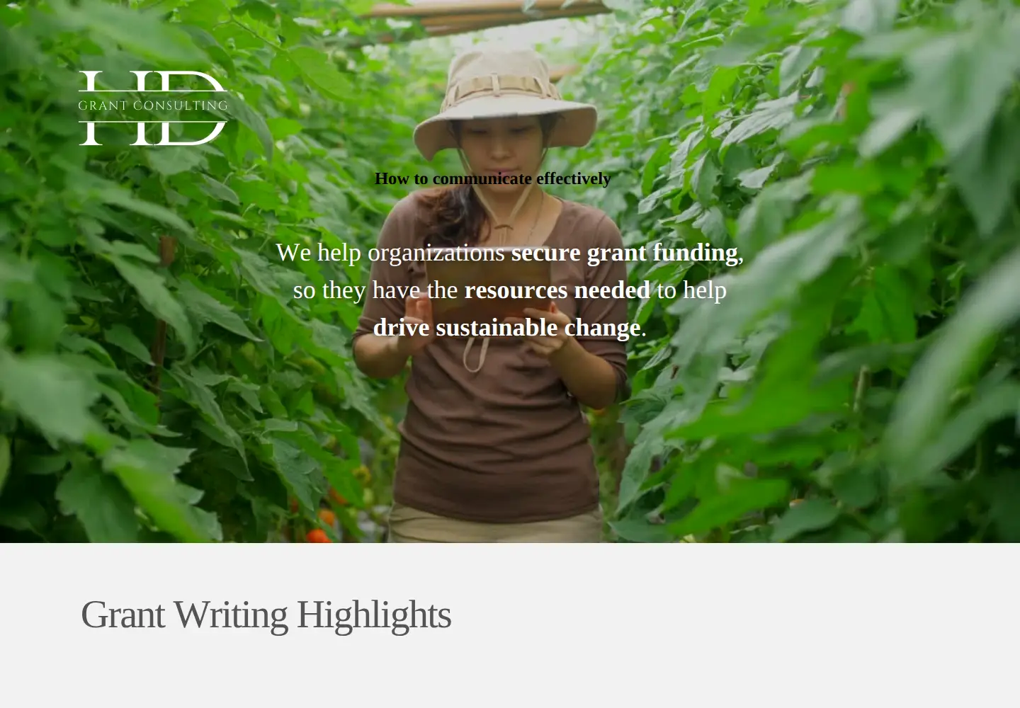 Captured homepage of hdgrantconsulting.com in the current scan