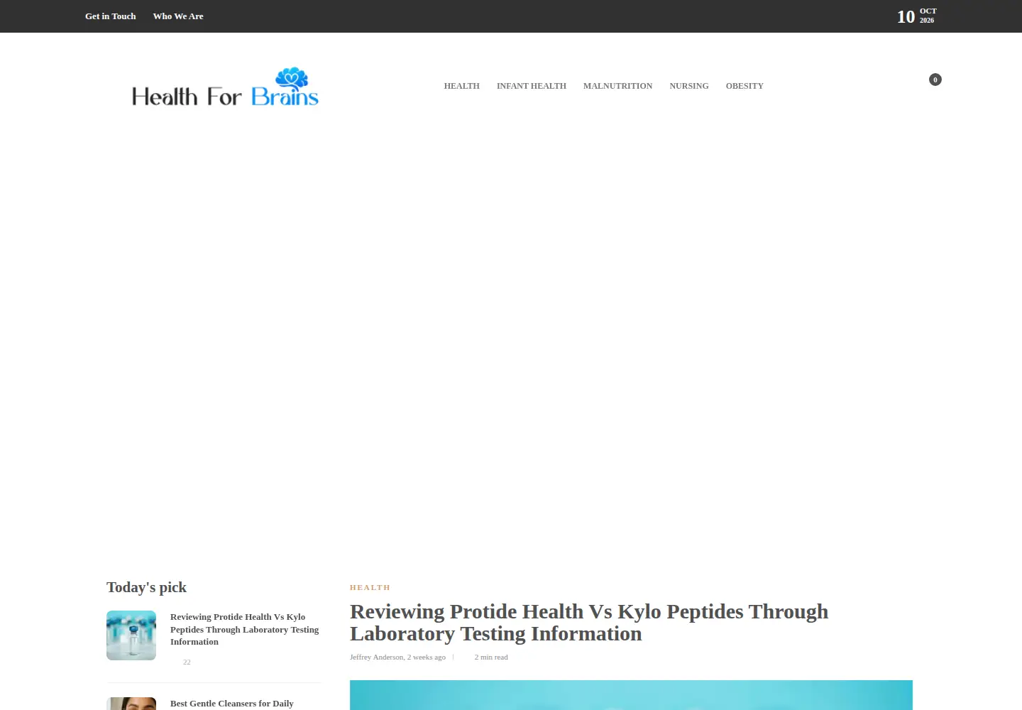 Captured homepage of healthforbrains.com in the current scan