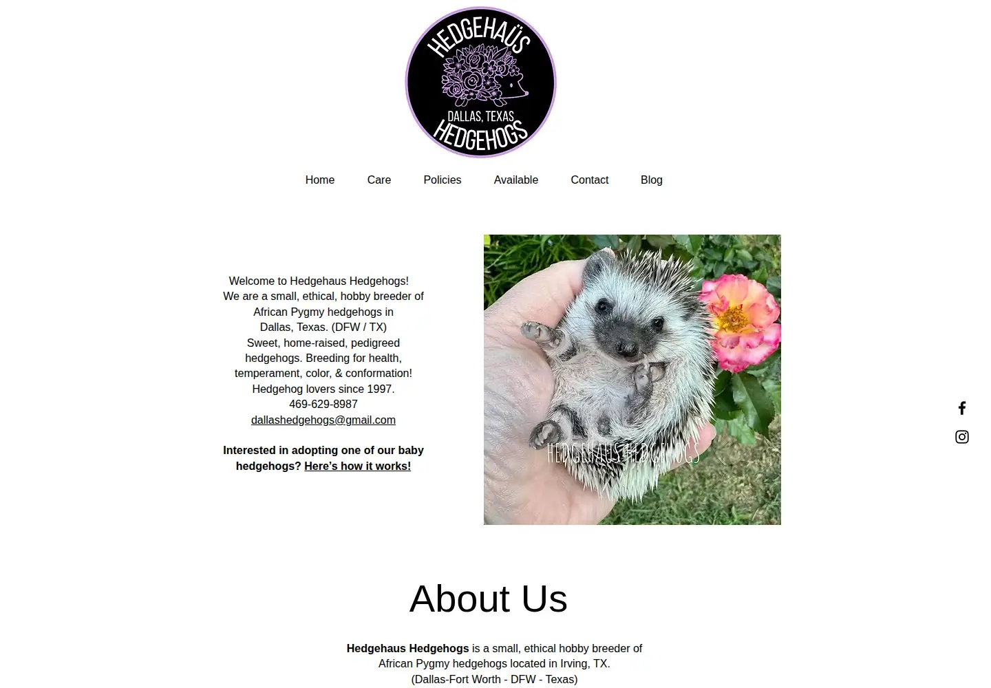 Captured homepage of hedgehaus.com in the current scan