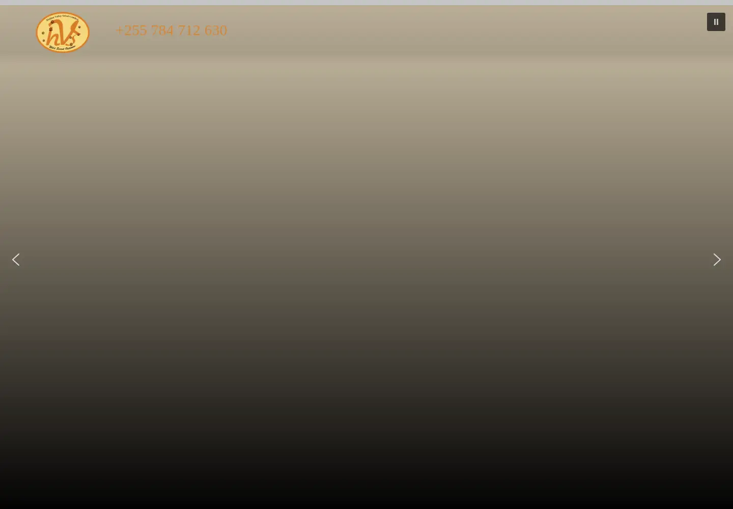 Screenshot of hiddenvalleysafaris.com