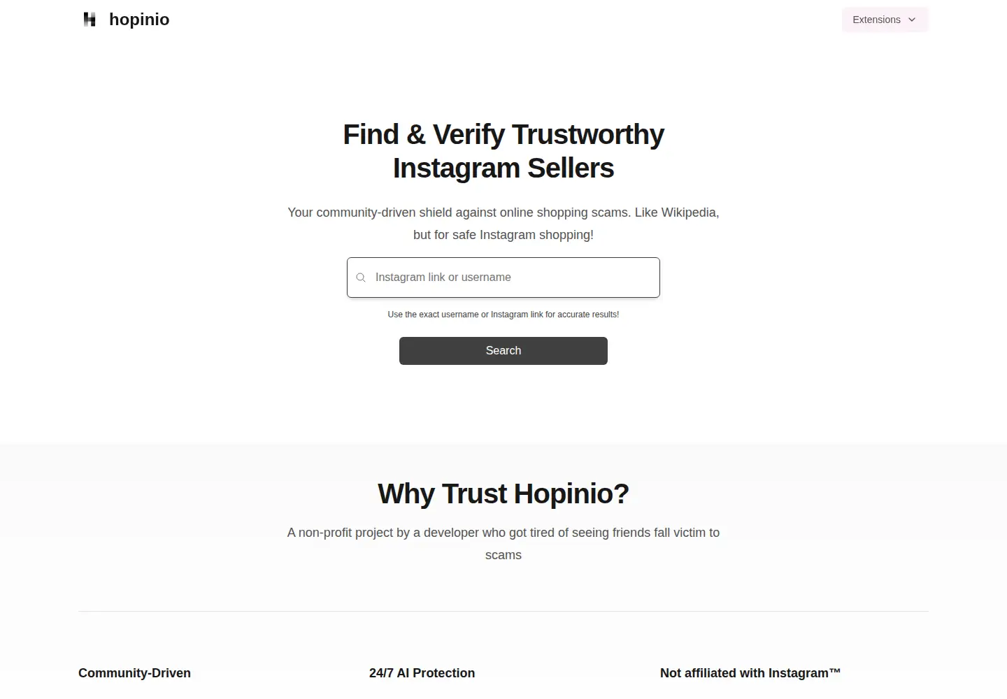 Captured homepage of hopinio.com in the current scan