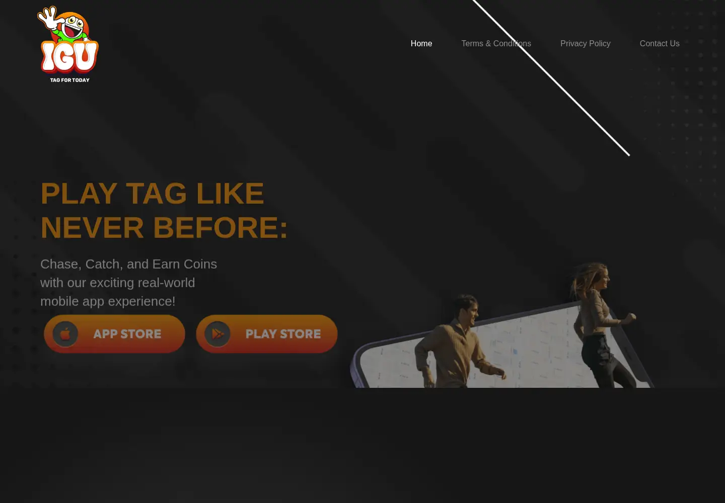 Captured homepage of igutag.com in the current scan