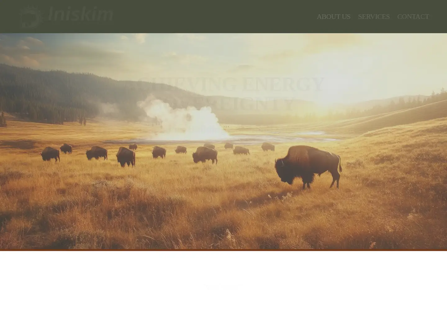 Screenshot of iniskimllc.com