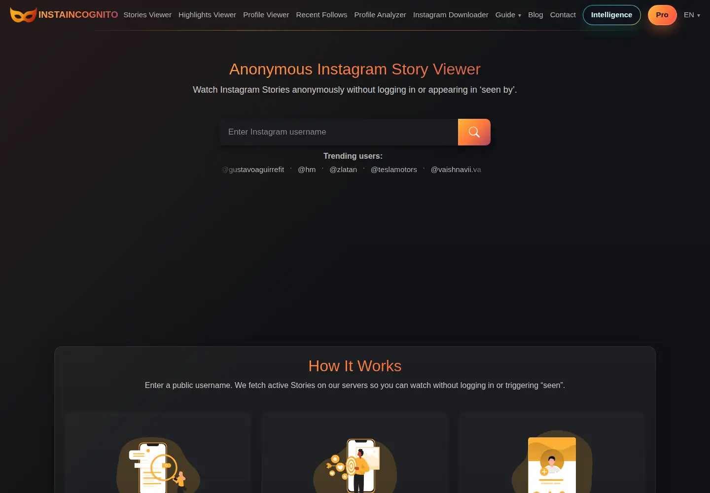 Captured homepage of instaincognito.com in the current scan