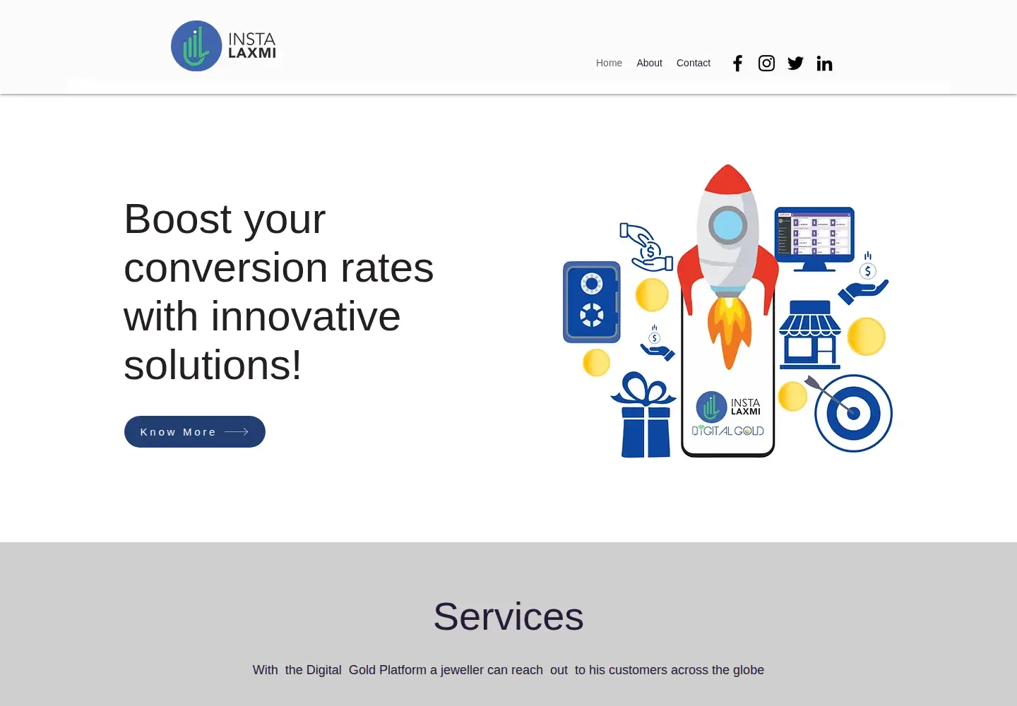 Screenshot of instalaxmi.com