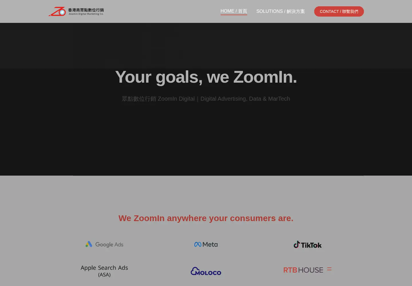 Captured homepage of inzoomin.com in the current scan
