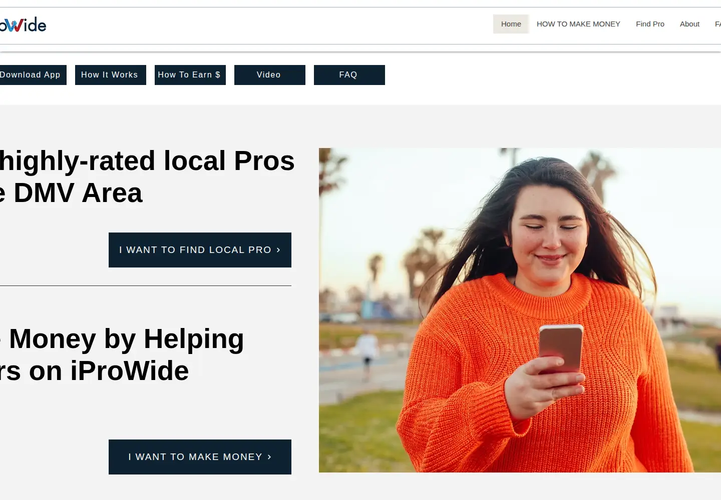 Screenshot of iprowide.com