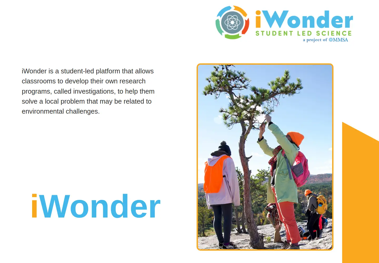 Screenshot of iwondersls.com
