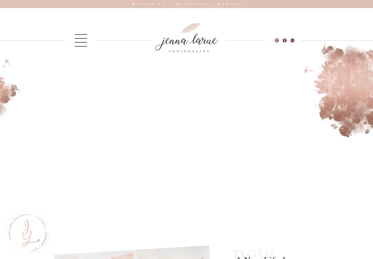 Captured homepage of jennalaruephotography.com in the current scan