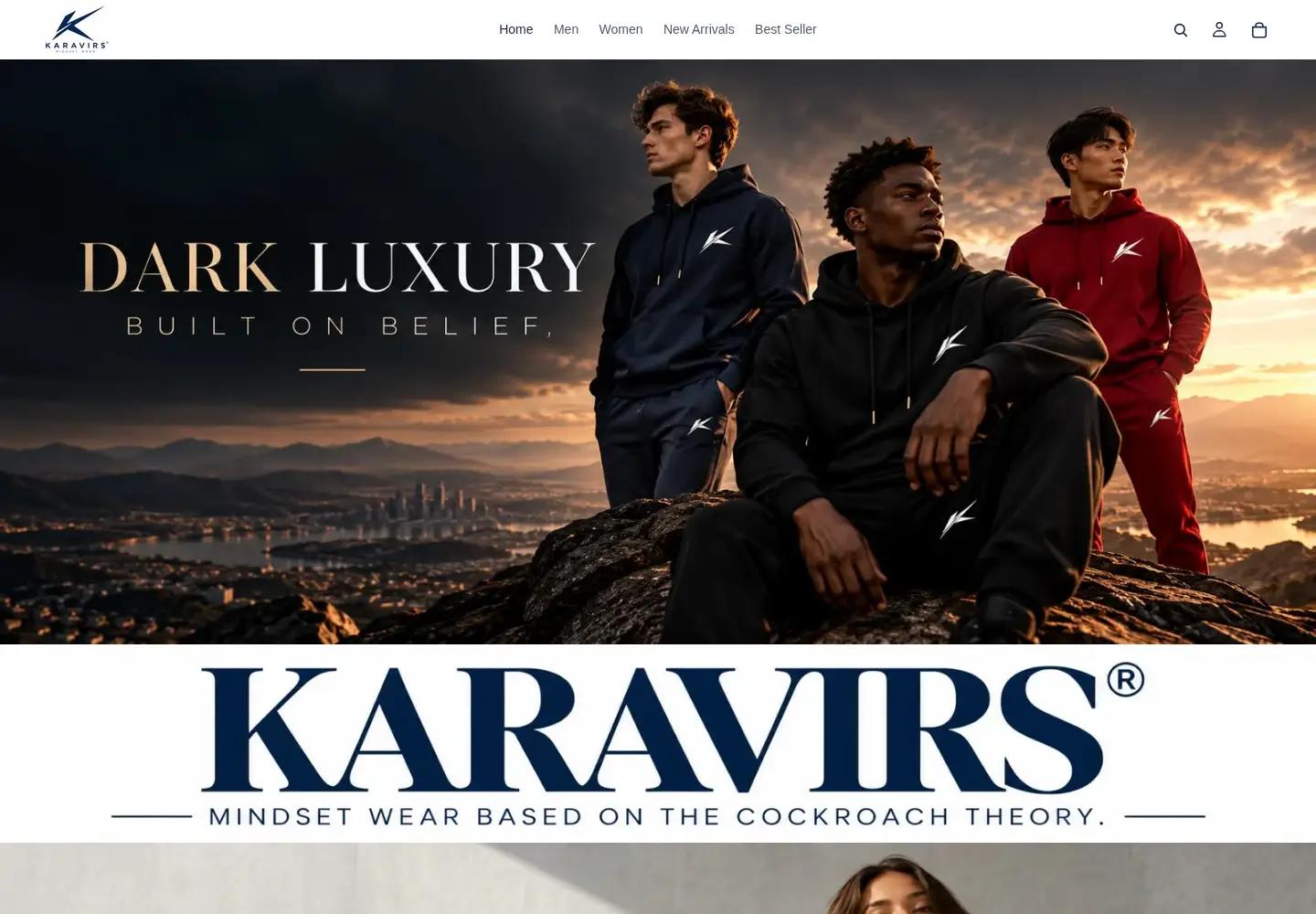 Captured homepage of karavirs.com in the current scan
